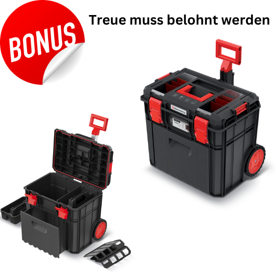 WERKZEUGKISTE MIT RÄDERN X BLOCK LOG 50 Schublade