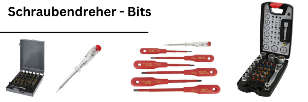 Schraubendreher Bits